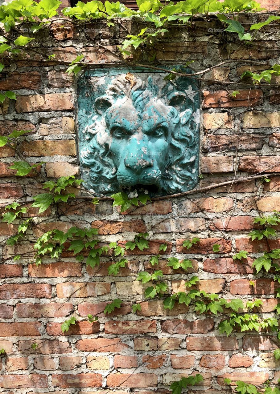 Lion carving on brick wall with ivy