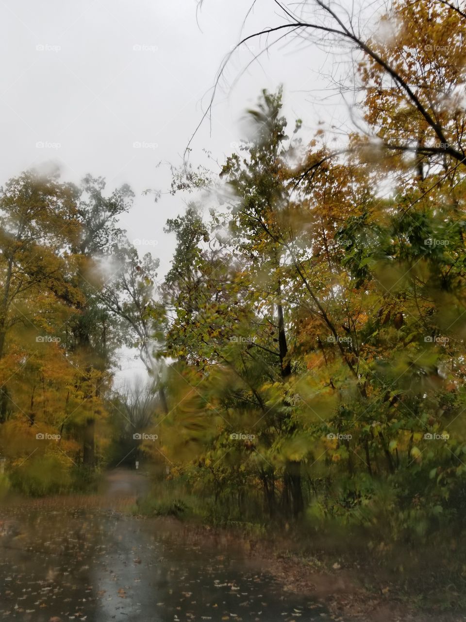 A Rainy Autumn Day Through A Raindrop Covered Windshield.