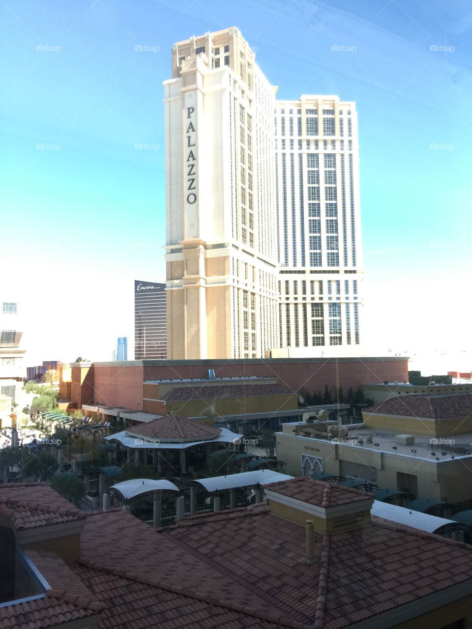 Las Vegas Venetian  Hotel 
