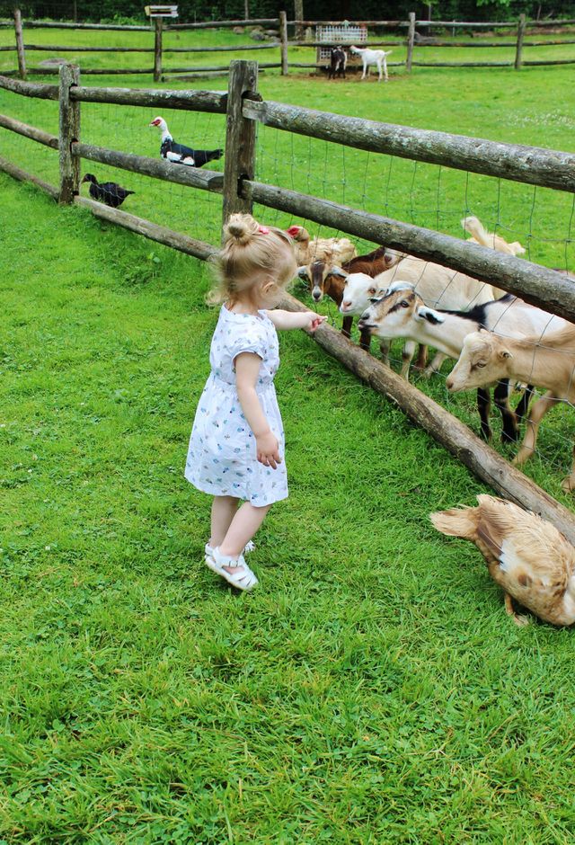 Baby and Babies