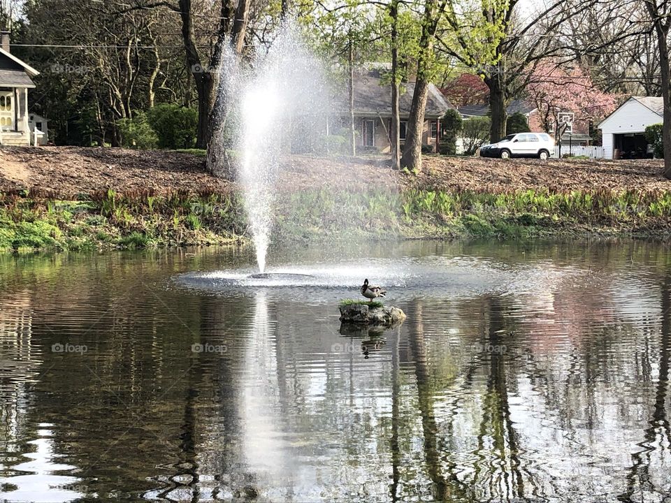 Fountain 