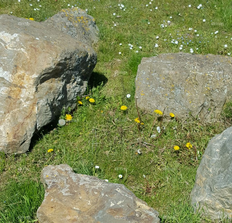 Steine - Stones 🌞🌻