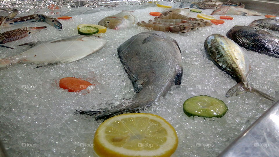 fish preparation