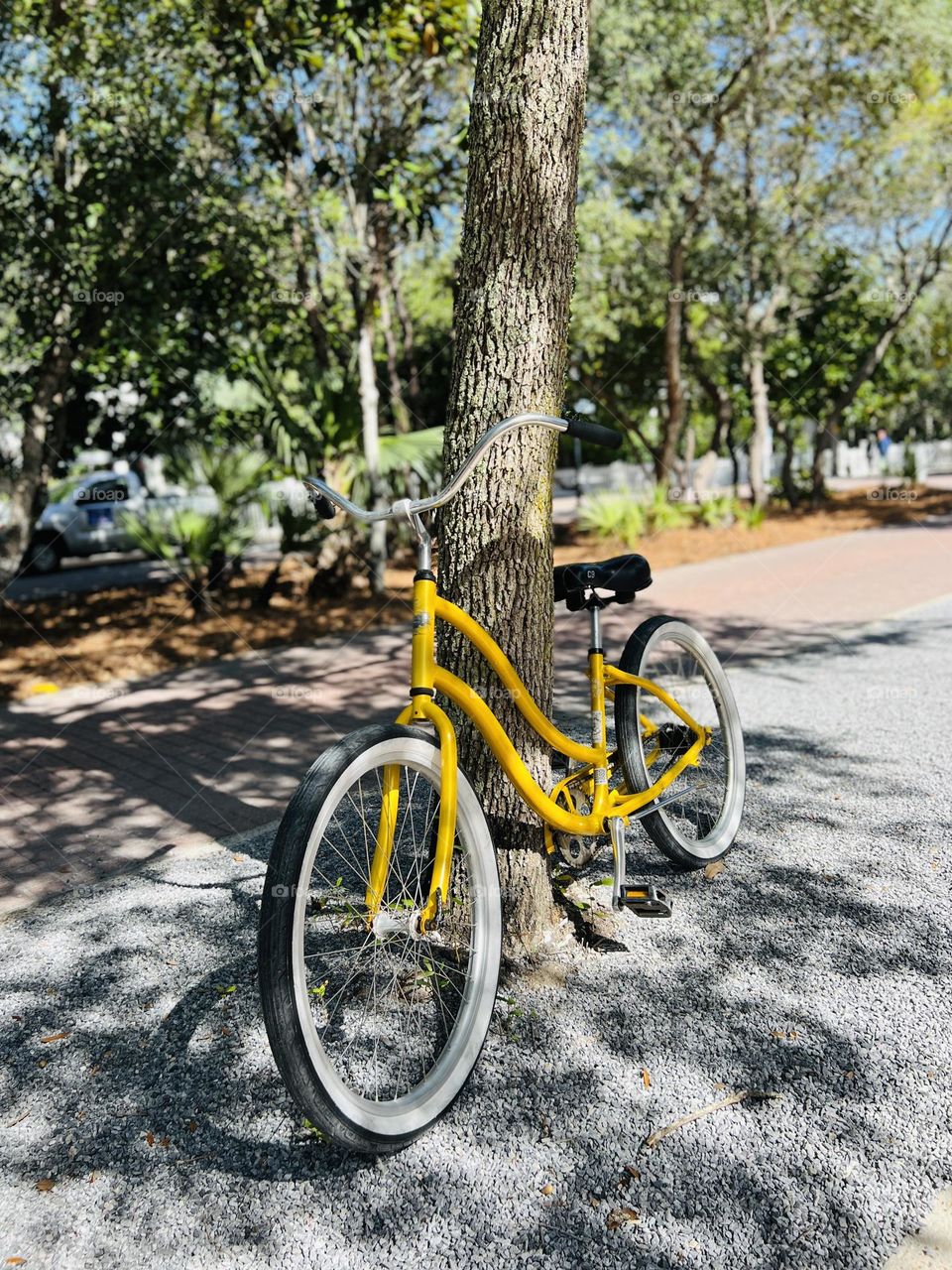 Single yellow cruiser style bicycle with whitewall tires and a black seat. It’s leaning against a tree in dappled sunlight on a tree lined neighborhood street.