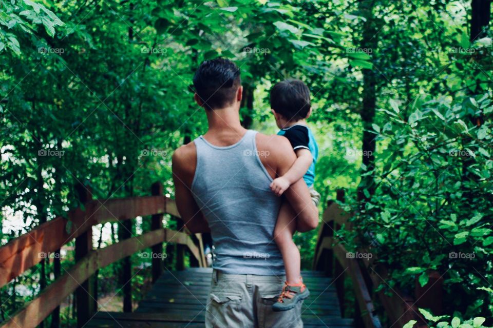 A walk through the greenery 