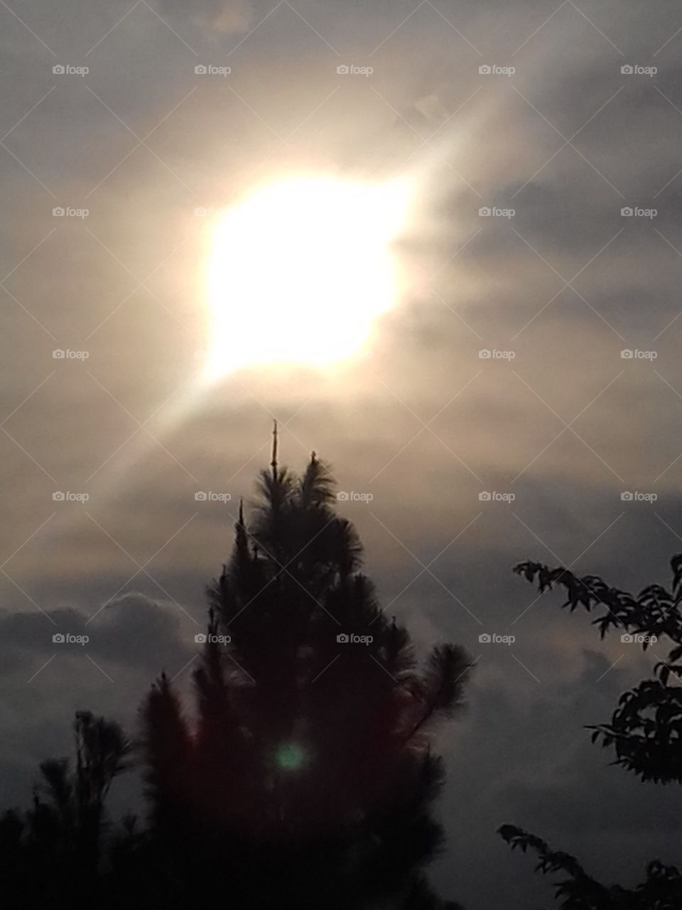 Sun Light..
Kandy Mahakande Sri Lanka..