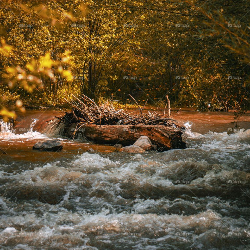Moving river and a still dam