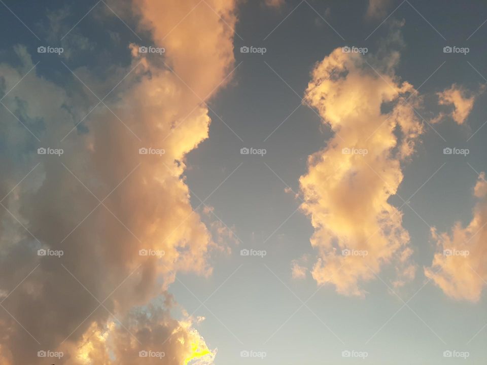 Please help me, I am very poor, I need your support