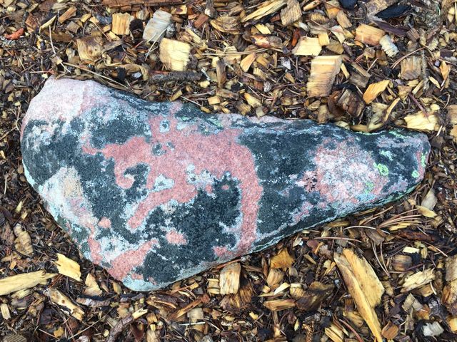 Colorful Mossy Rock