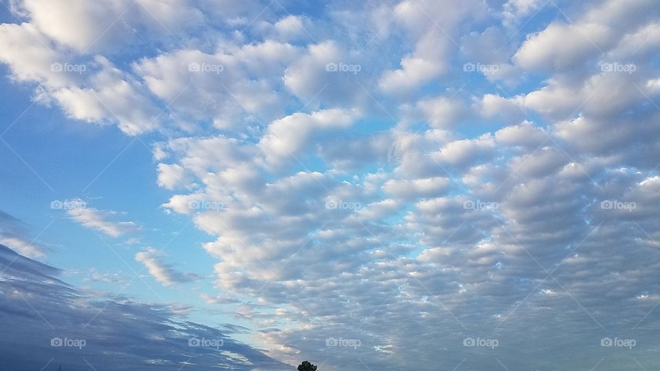 Early morning clouds