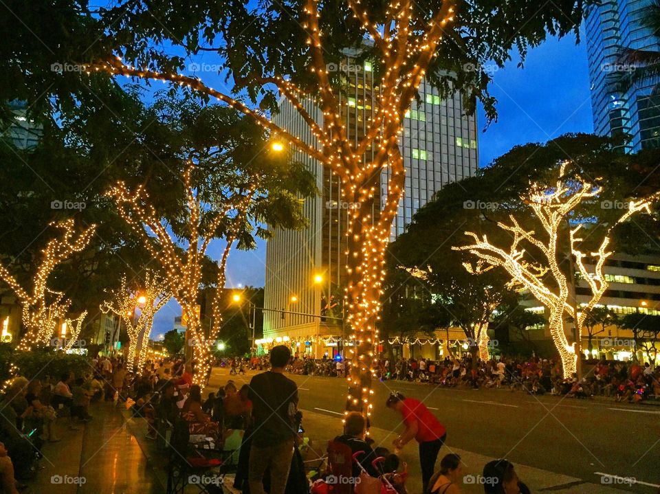 Beautifully Illuminated Street