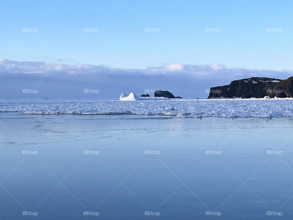 Iceberg in Twillingate, NL