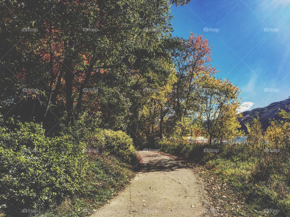 Beautiful fall colours 