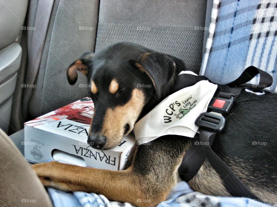 Rough Day at the Office