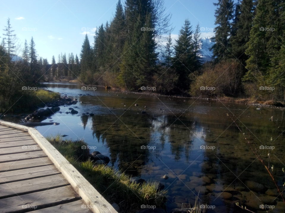 creek reflections. beautiful stream reflections