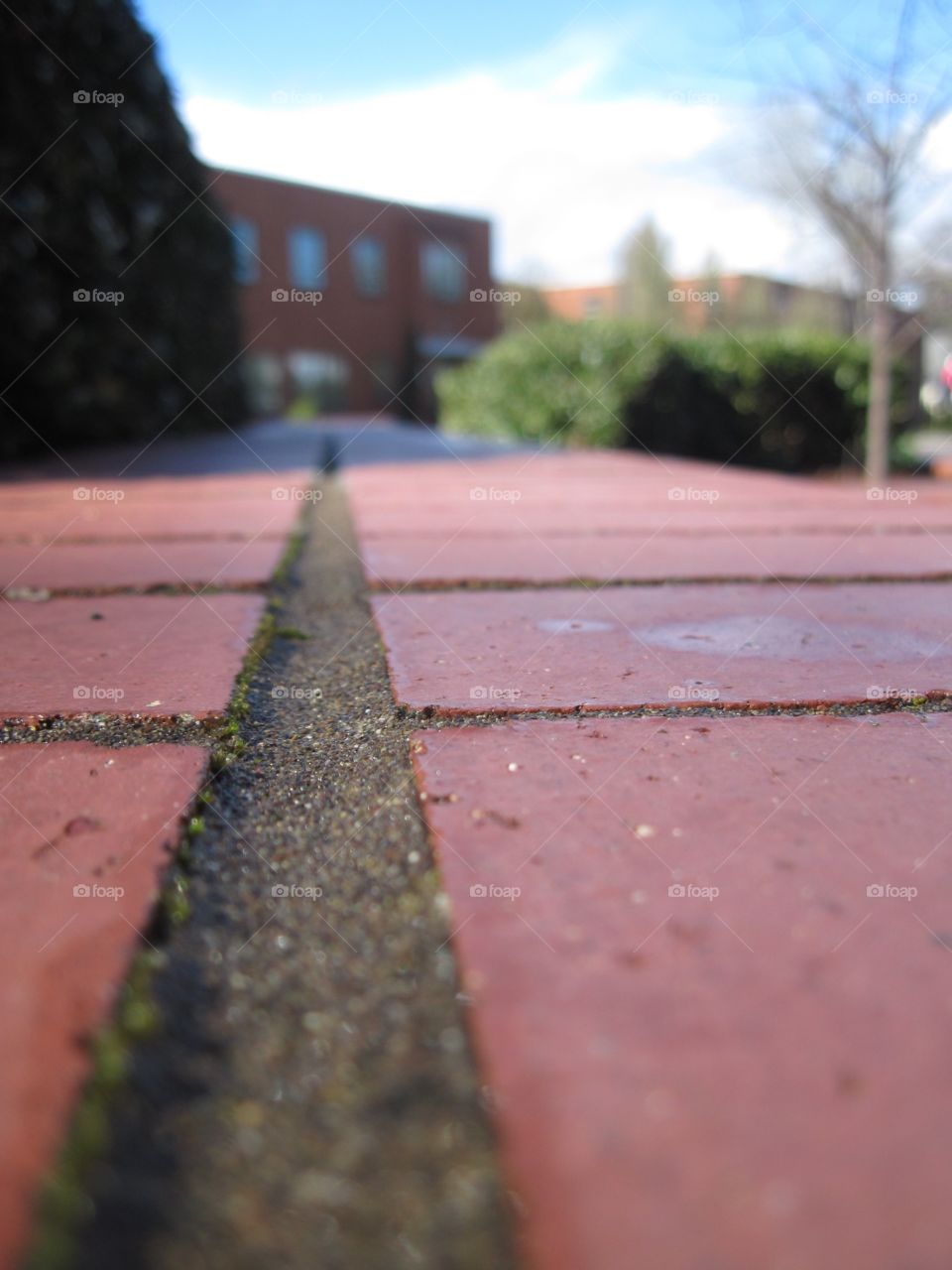 Closeup of brick path