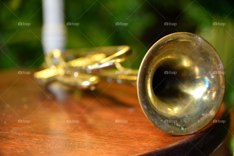 Trumpet