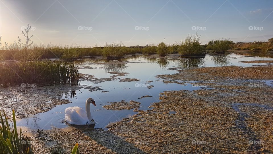 Leszno, Poland