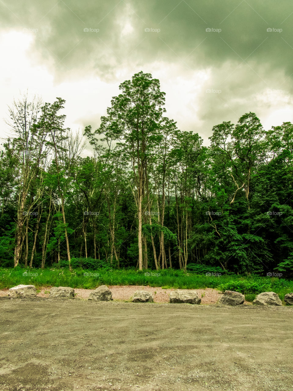 Esopus Creek, New York, sun, sky, clouds, mountains, river, nature summer, top of the mountain , Landscape, view, panoramic view, forest, woods, 