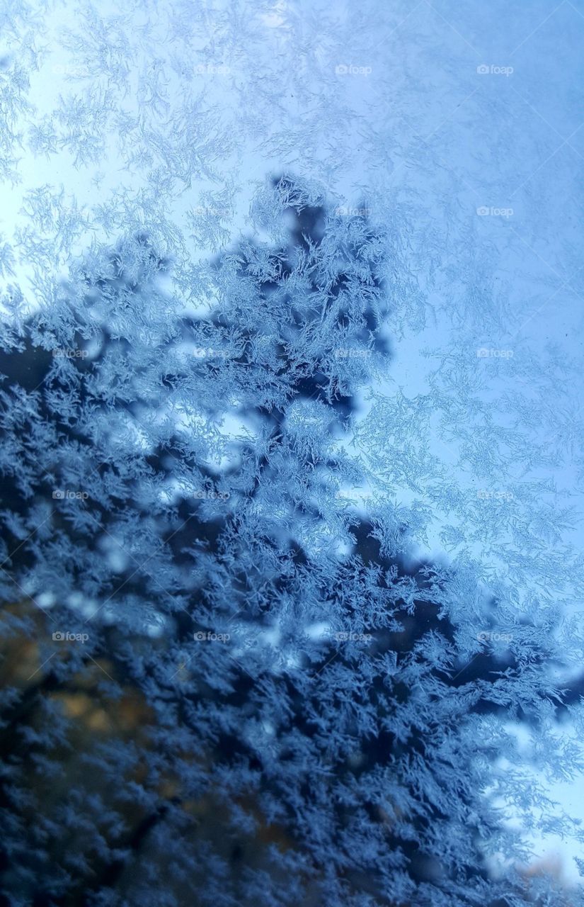 Frozen Snow Flakes ❄
Cold Canadian Weather ☃️