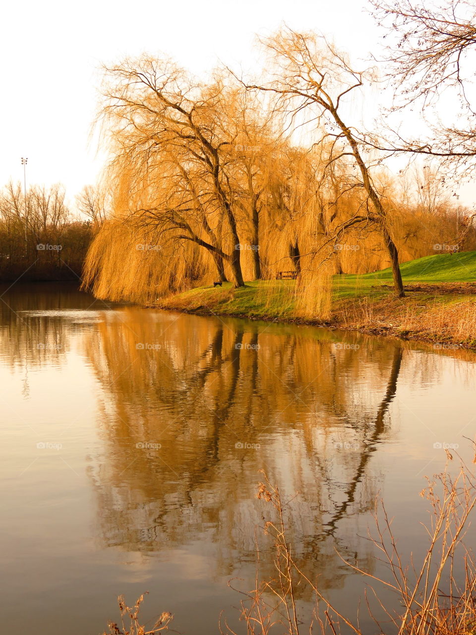 water reflection