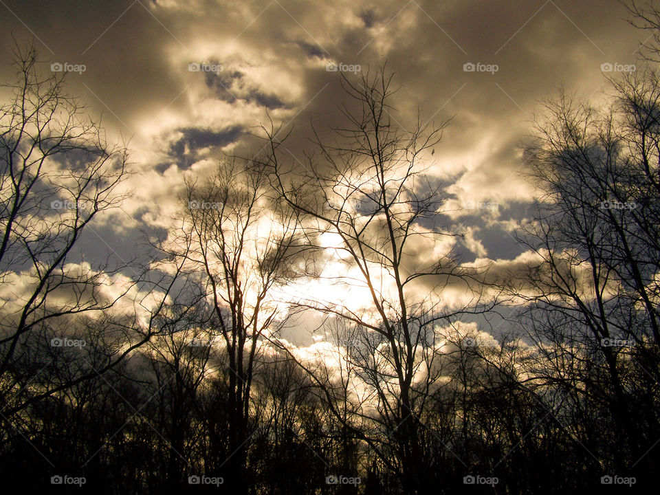Cloudy Winter Sky. Just outside my house. I love taking sky pictures. 
