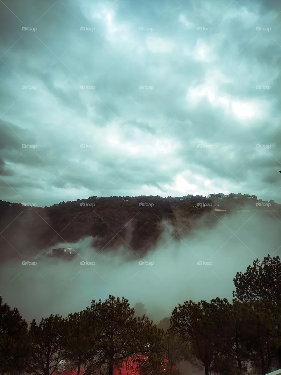 fog