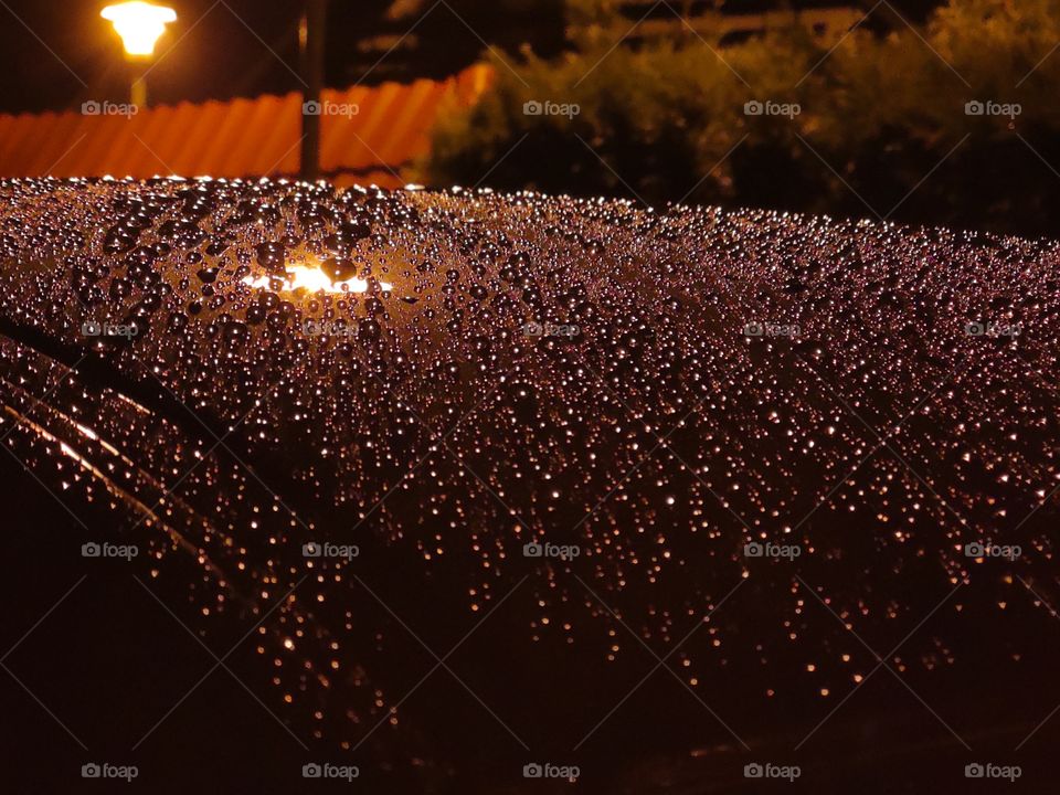 Night shot. Drops after rain