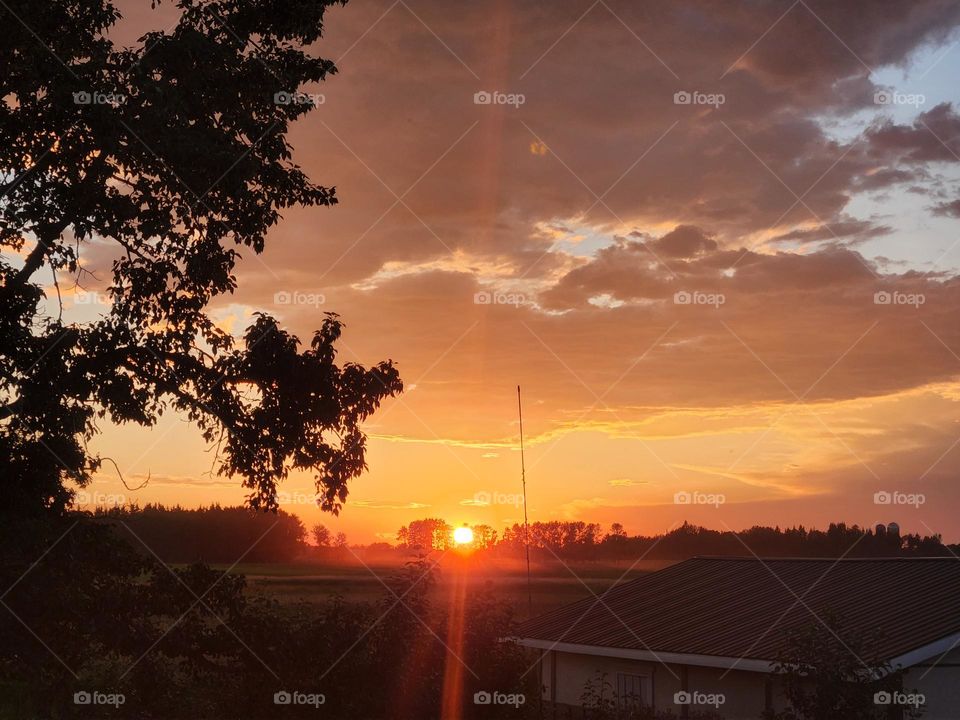 Sunset Sky silhouette