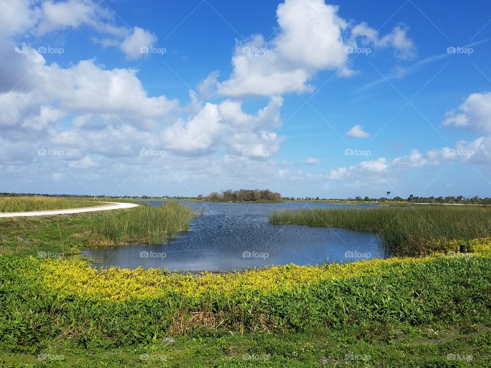 Gus Grissom Wetlands, Viera FL