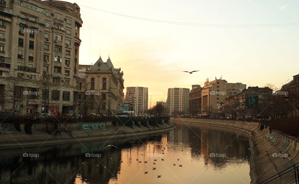 Bucharest,  Romania