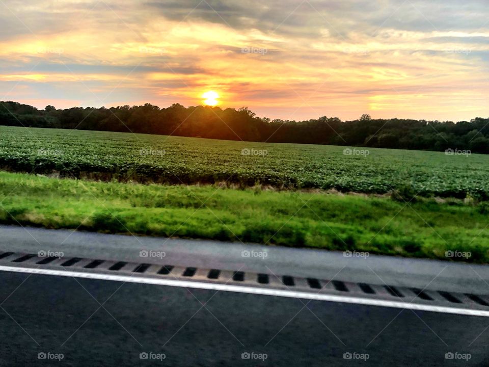 Country Sunset on the Go 