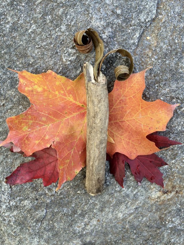 Bridging the  gap between spring and fall with leaf art depicting a butterfly