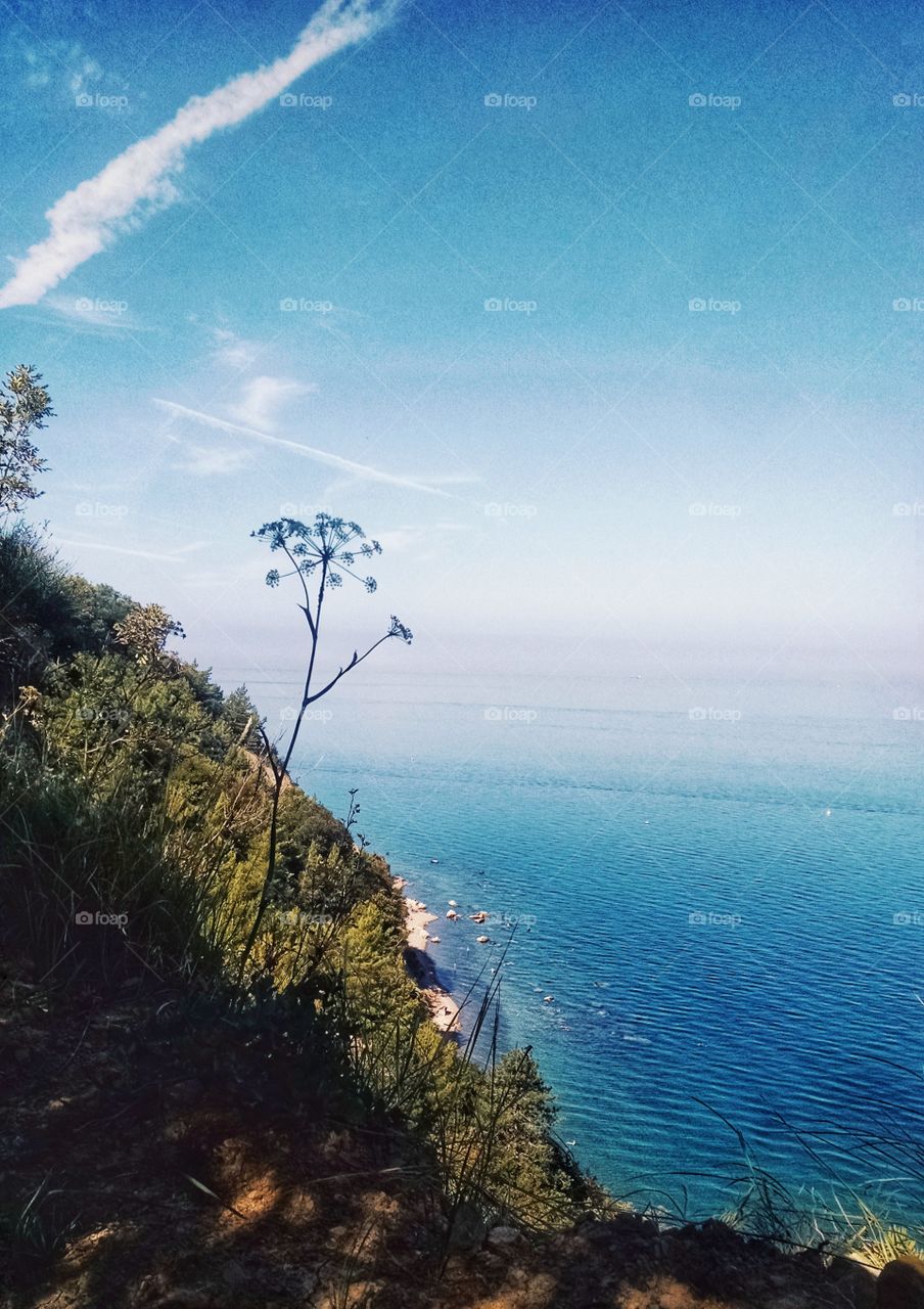 View from the mountain point