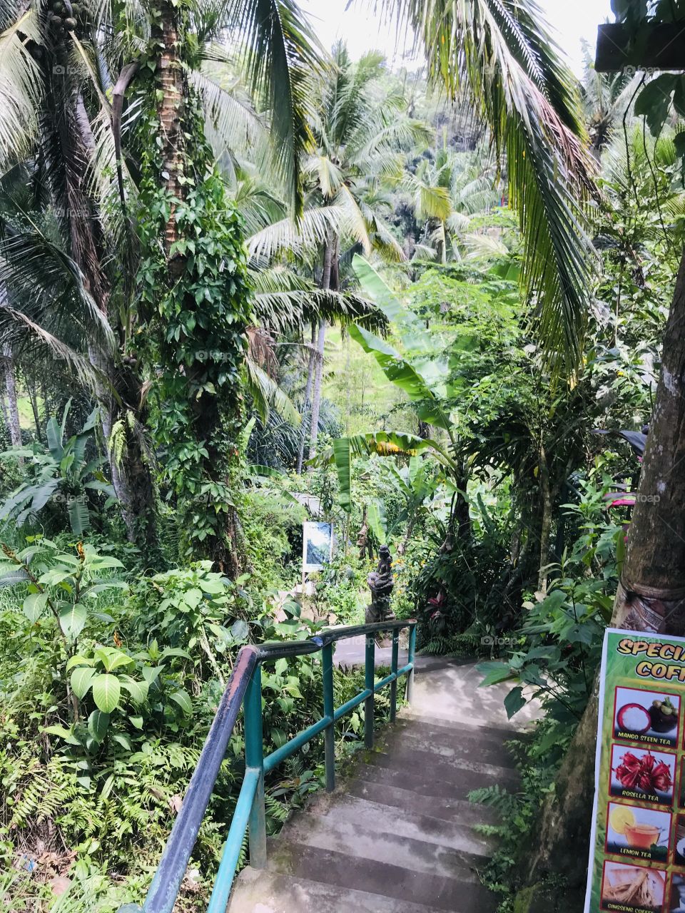 Stairway to Paradise