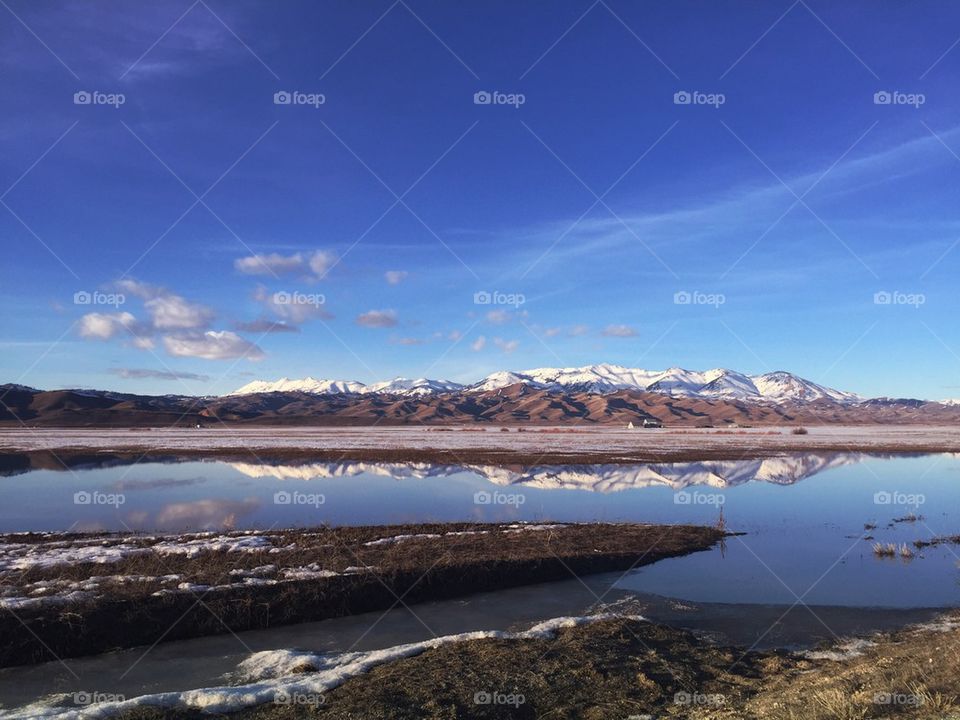 Road side reflections