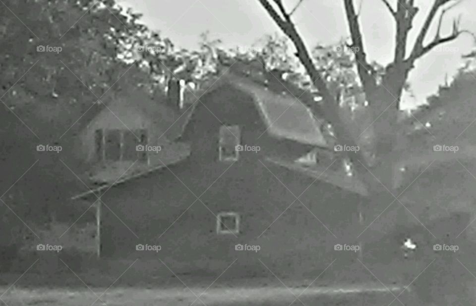 monochromatic picture of old barn