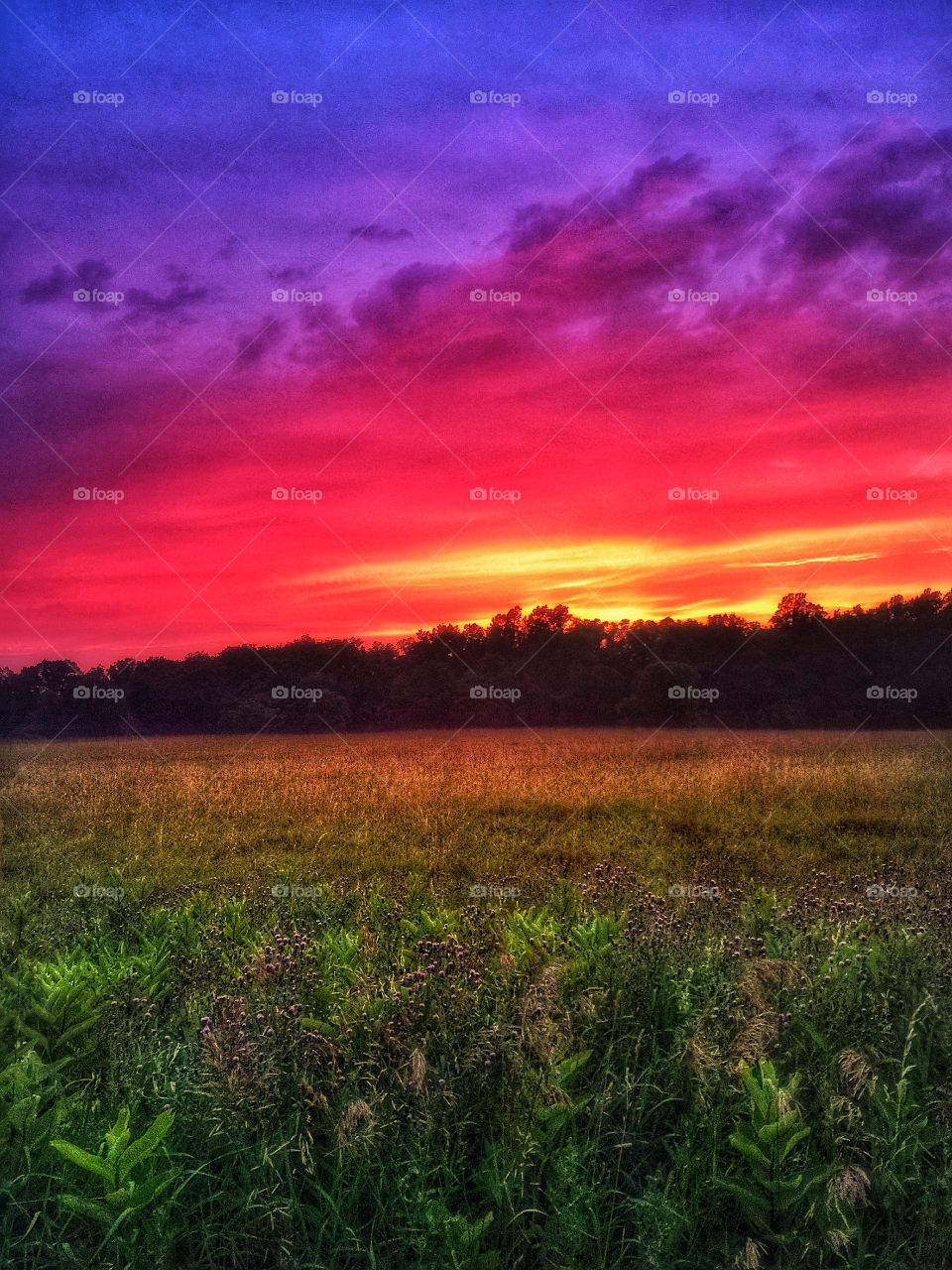 Purple sunset . A purple sunset over grasslands 