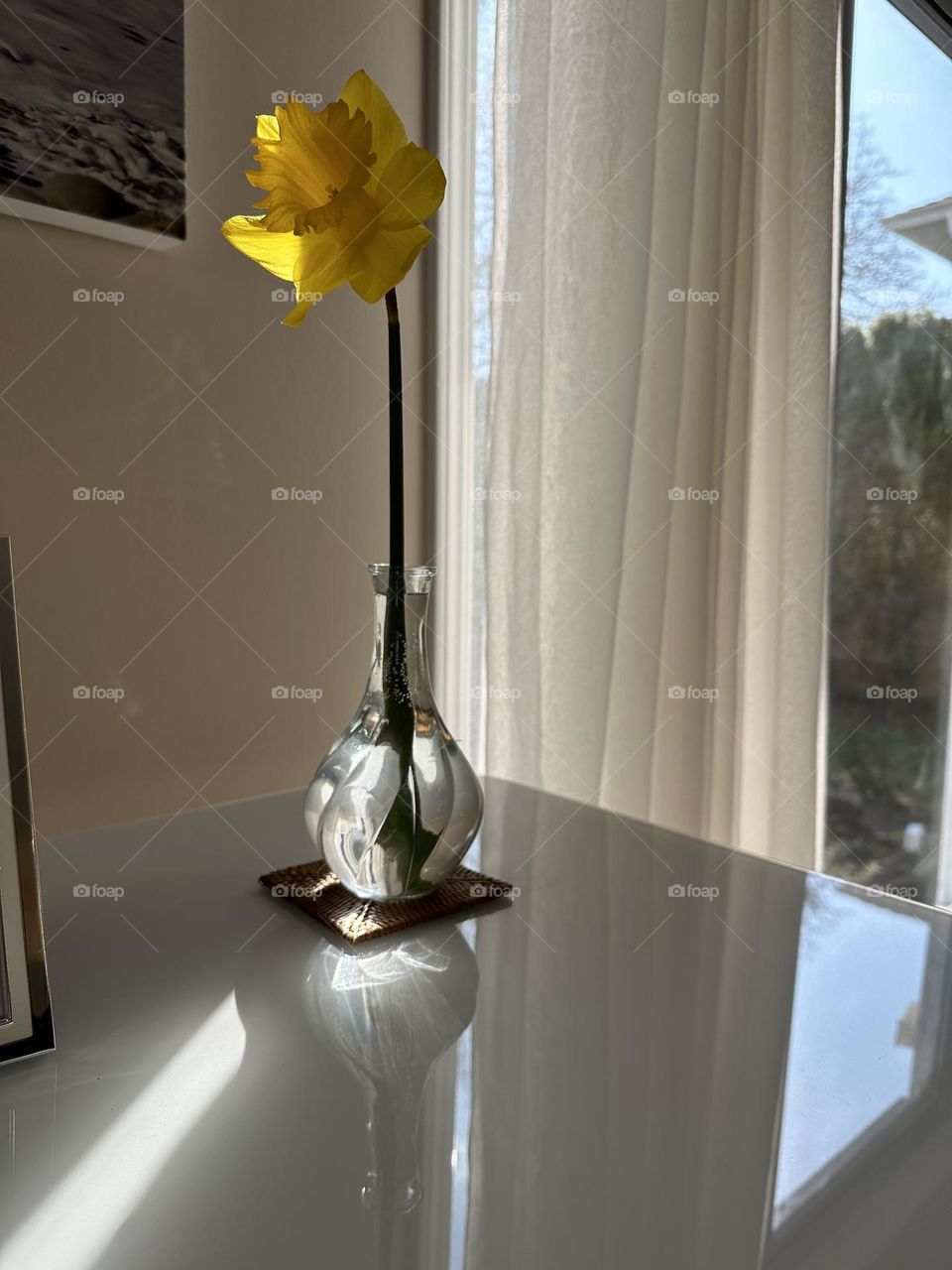 Vase with daffodils on a desktop 