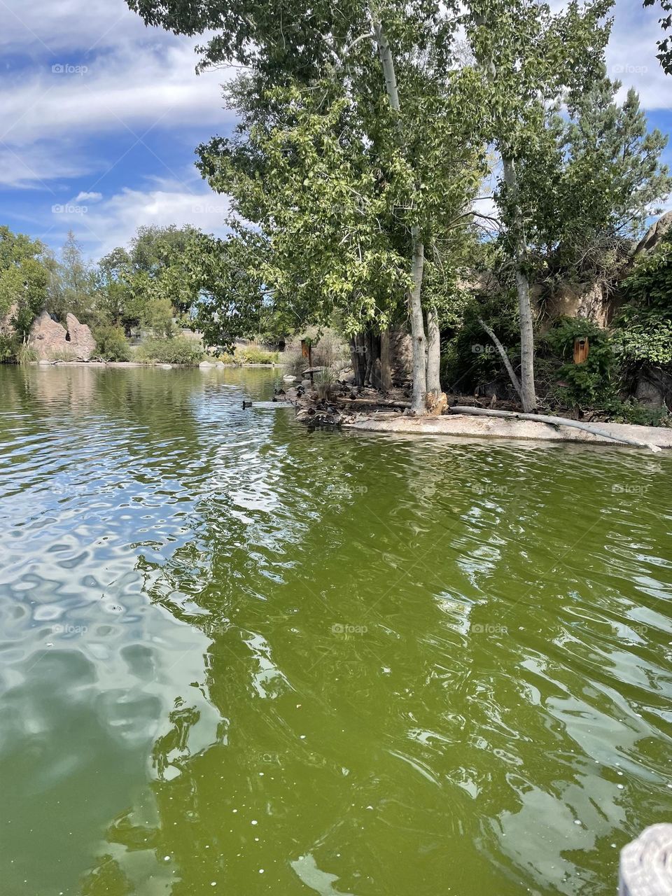 Feeling of happiness being one with the universe.