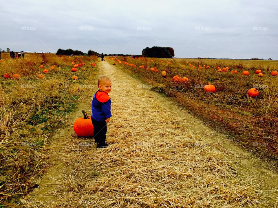 A kids first trip to the pumpkin patch can bring about so many exciting and adventurous emotions. Such a unique adventure, and definitely a memorable moment. 