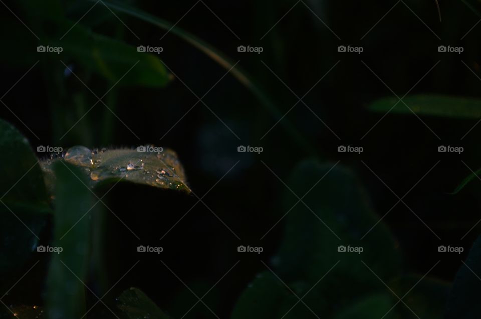 beautiful spring sunset