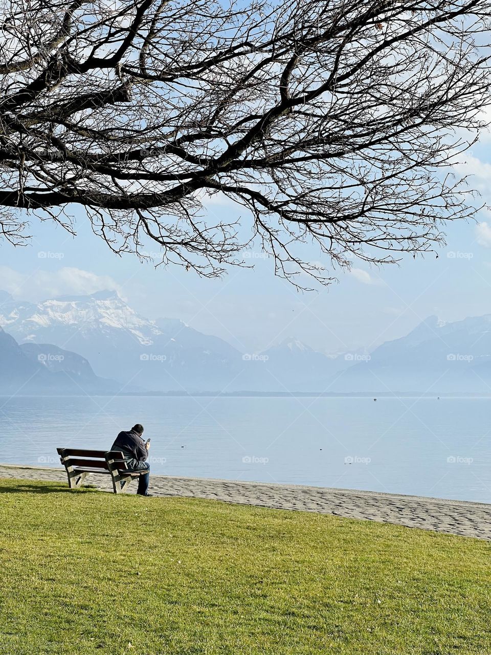 Bench by the lake