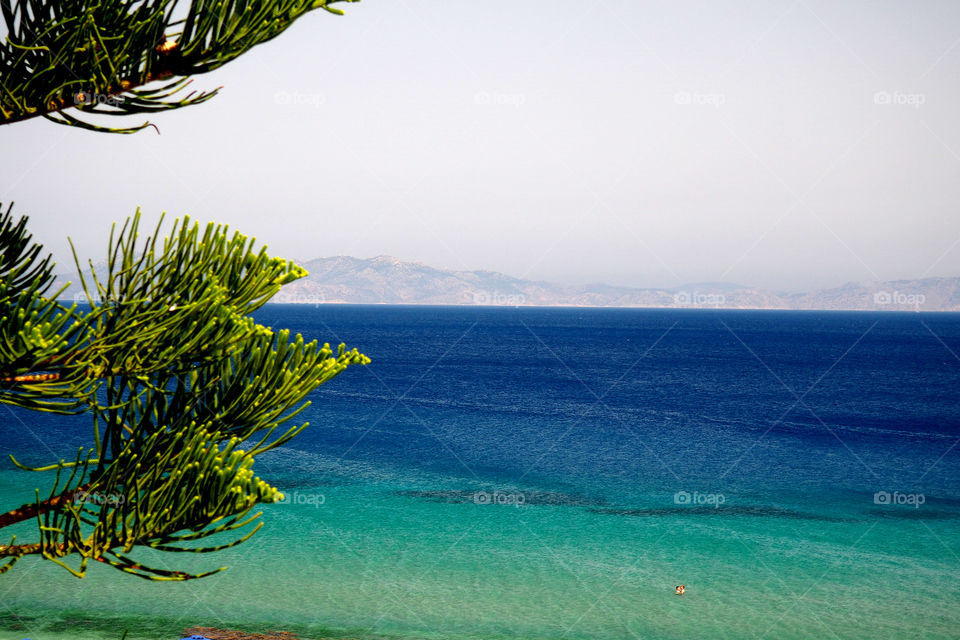 Idyllic view of nature