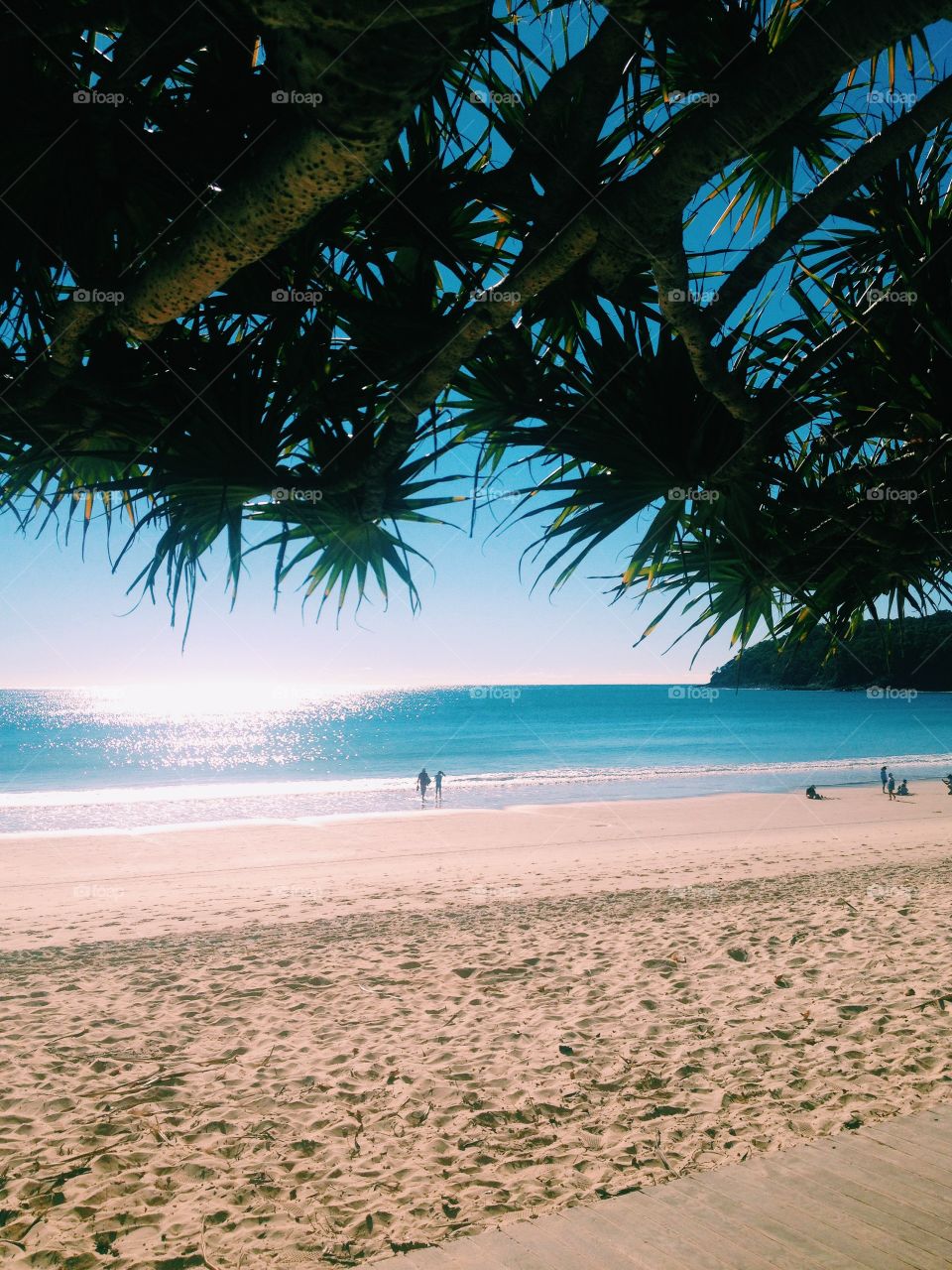 Beautiful Noosa