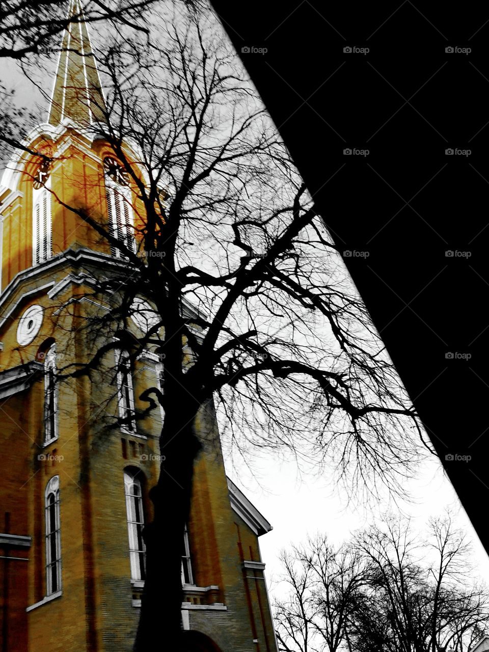 church and trees