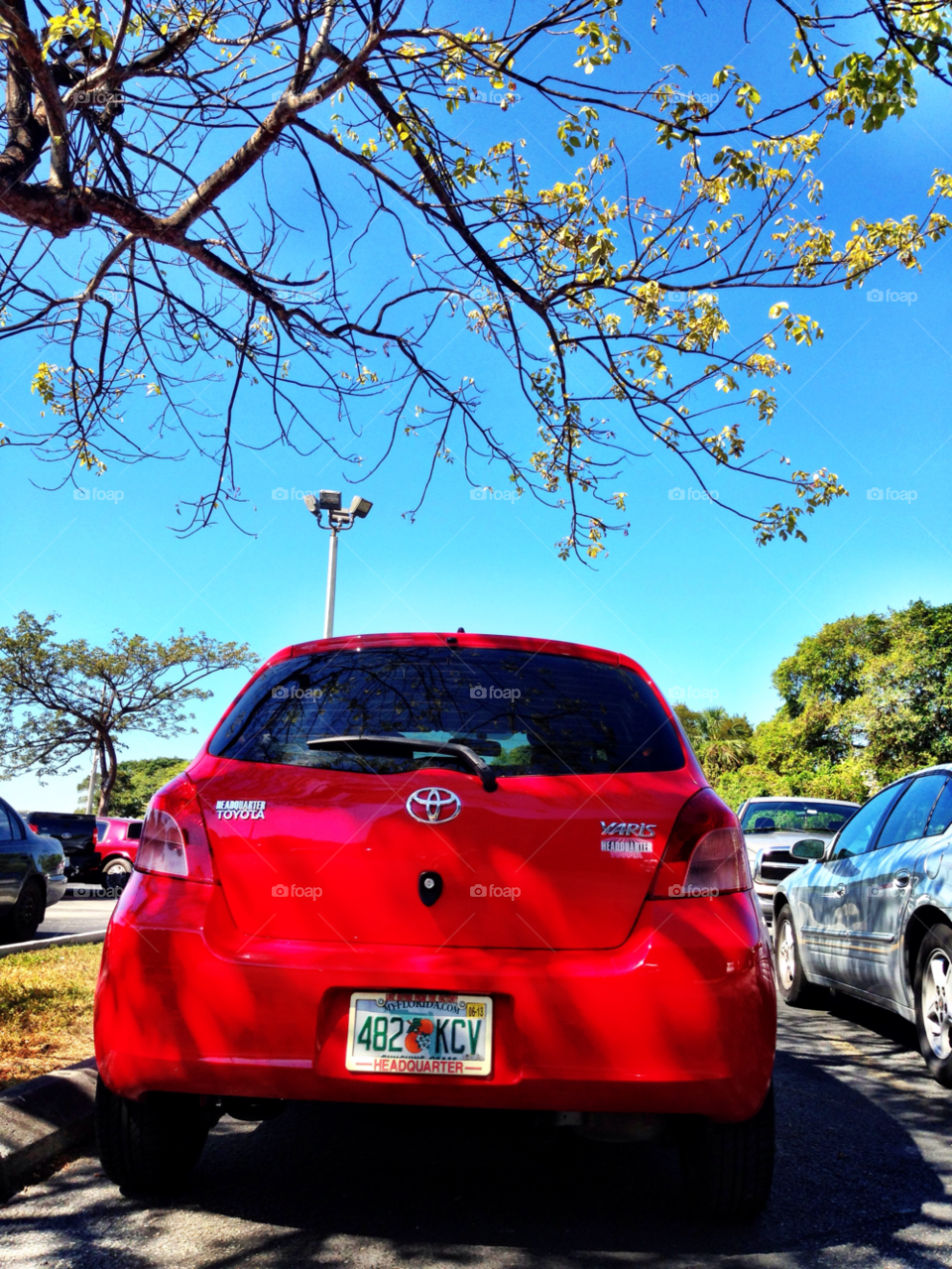 car red tree shadow by jmsilva59