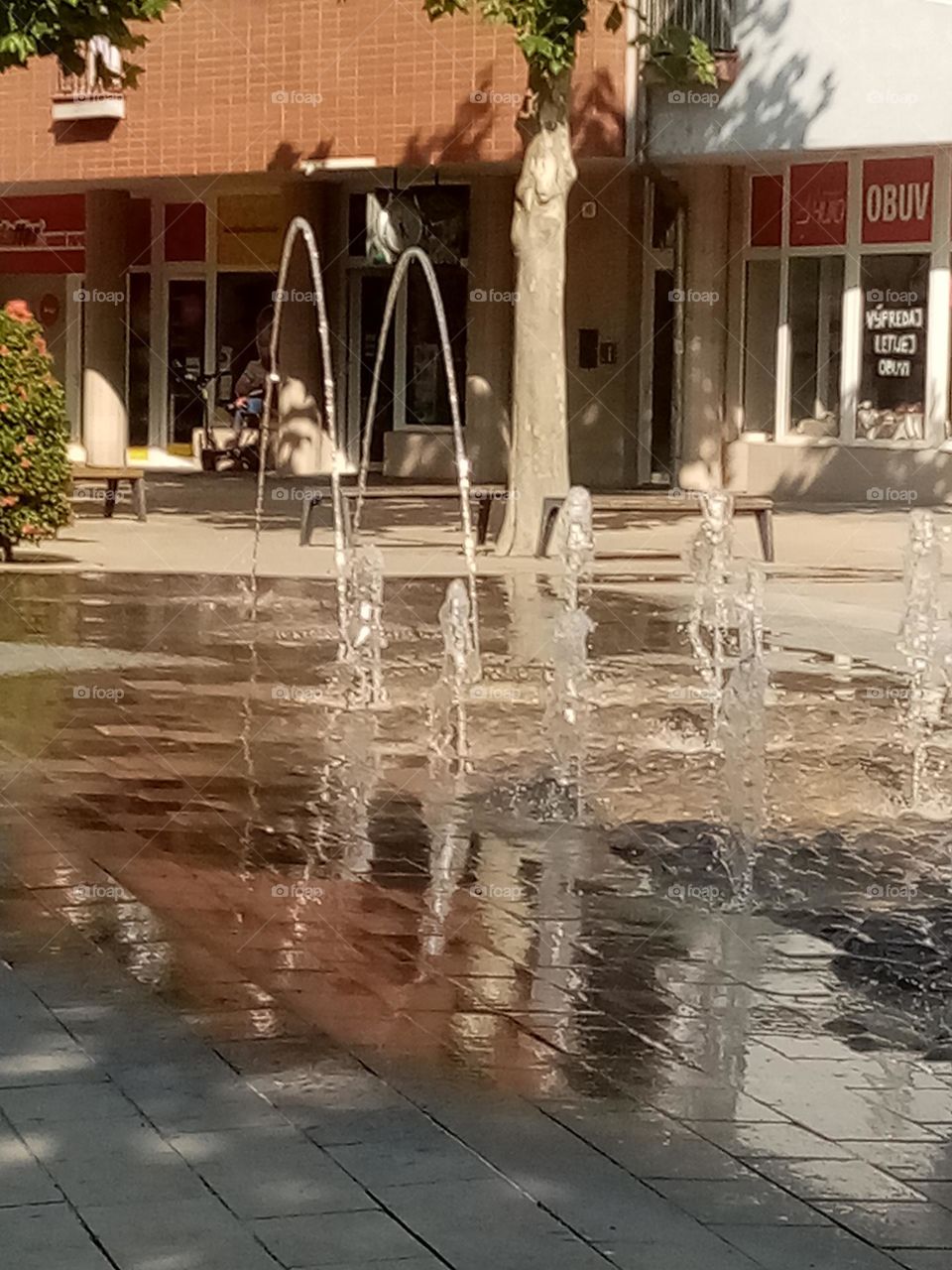 the best close-up in Slovakia