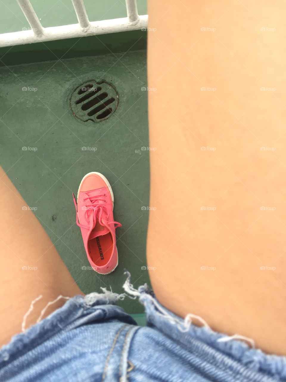 Кедик плывет на пароме 