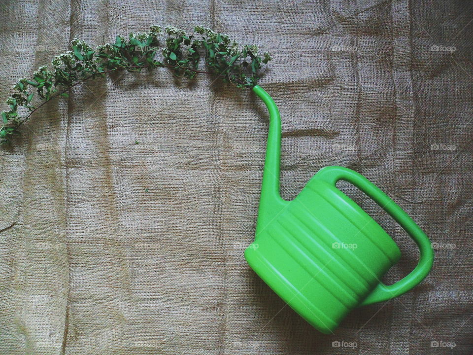 A green watering can for watering flowers and a dry branch of flowers